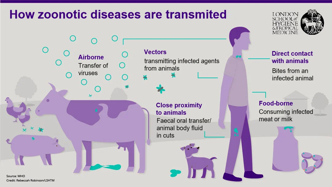 Zoonotic Diseases Transmission